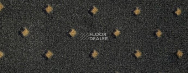 Ковролин Big Delhi 179 Delhi фото 1 | FLOORDEALER